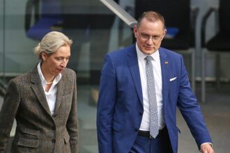 AfD laut Insa wieder stärkste Kraft