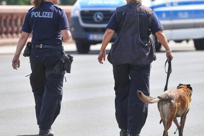 Bundespolizei fehlen Hunderte Sprengstoffhunde