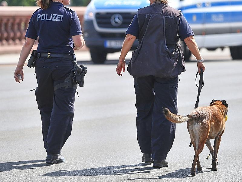 Bundespolizei fehlen Hunderte Sprengstoffhunde