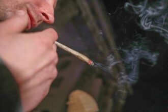 Cannabis: Deutschlandweit 413 Anbauvereine genehmigt