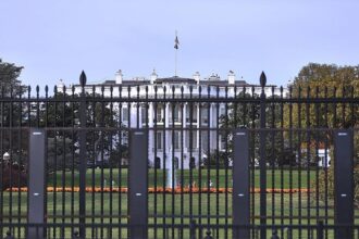 Expertin: US-Vorgehen in Straße von Hormus verletzt Völkerrecht