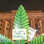 Forscher sehen Fehlentwicklungen bei Cannabis-Teillegalisierung