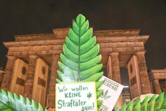 Forscher sehen Fehlentwicklungen bei Cannabis-Teillegalisierung