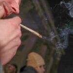 Gesundheitsministerium will Gespräche über Cannabisgesetz führen