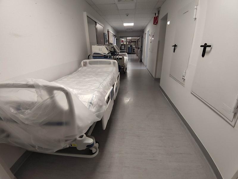 Grüne kritisieren Gesundheitsreform als Belastung für Arbeitnehmer