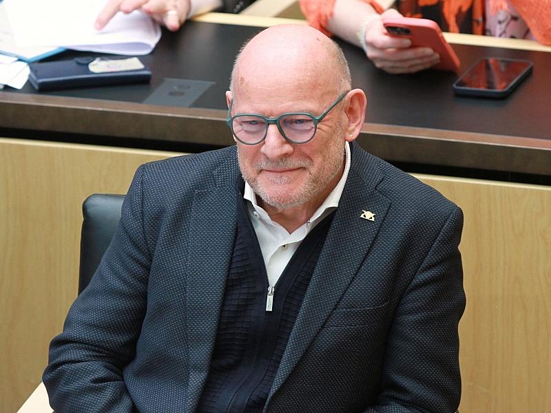 Hermann sieht Pazifisten "in der Minderheit bei den Grünen"