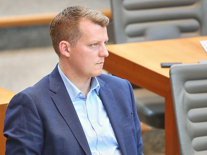 Höne hält an FDP-Vorsitzkandidatur fest