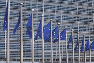 Hofreiter zweifelt an Abschaffung des EU-Einstimmigkeitsprinzips