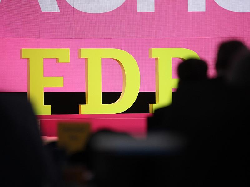 "JuLis" wollen Kandidaten für FDP-Parteivorsitz einladen
