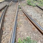 Kosten der Deutschen Bahn für Unkrautvernichtung steigen drastisch