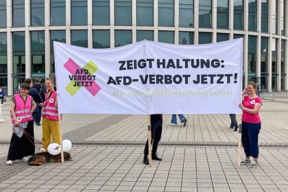 Kretschmann sieht bei AfD-Verbotsverfahren "komplexe Fragen"