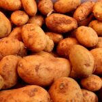 Landwirtschaftliche Erzeugerpreise im Februar deutlich gesunken