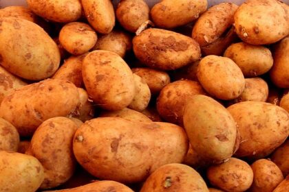 Landwirtschaftliche Erzeugerpreise im Februar deutlich gesunken
