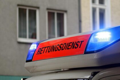 Mindestens zwei Personen bei Flensburg von Baum erschlagen