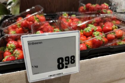 Studie: Mehrwertsteuererhöhungen treffen Geringverdiener stärker