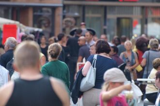 Umfrage: Deutsche gespalten über privaten Walrettungsversuch
