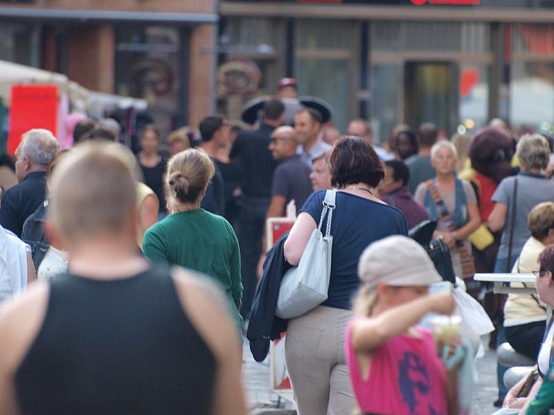 Umfrage: Deutsche gespalten über privaten Walrettungsversuch