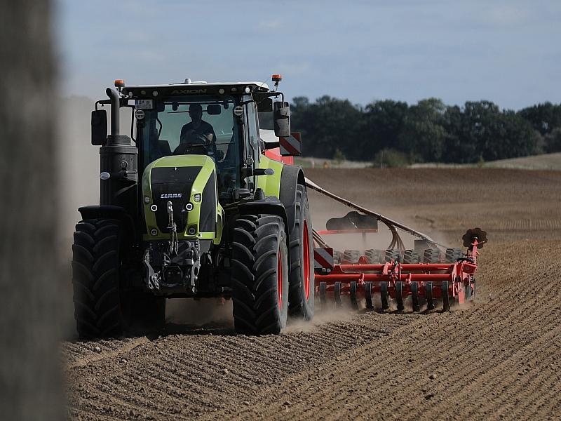 Unternehmensgruppen gewinnen in Landwirtschaft weiter an Bedeutung